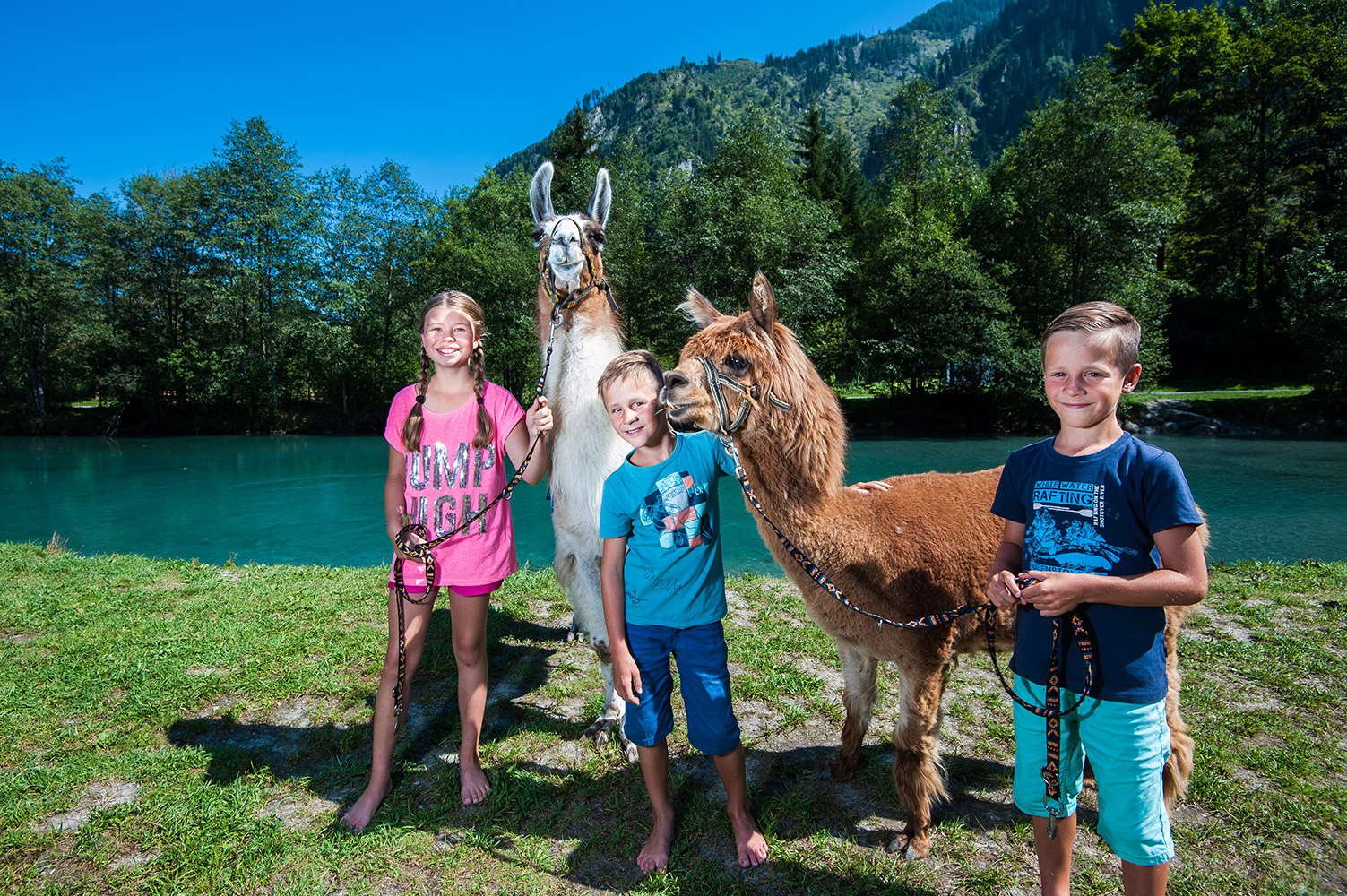 lama-spaziergang.jpg