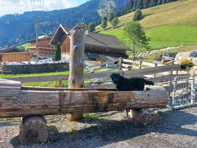 Stoffenhof
